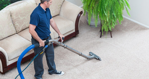 Zod Clean Cleaning Trucks